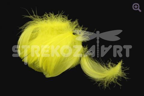 Перо гусиное 4-8см, упак. 20шт, цвет: желтый
